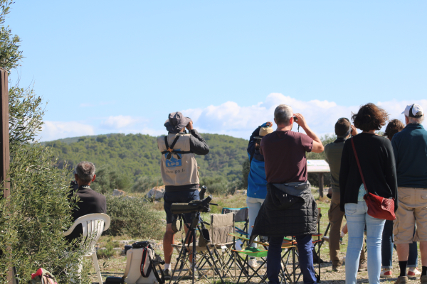 groupe d'observateurs au Roc de Conilhac